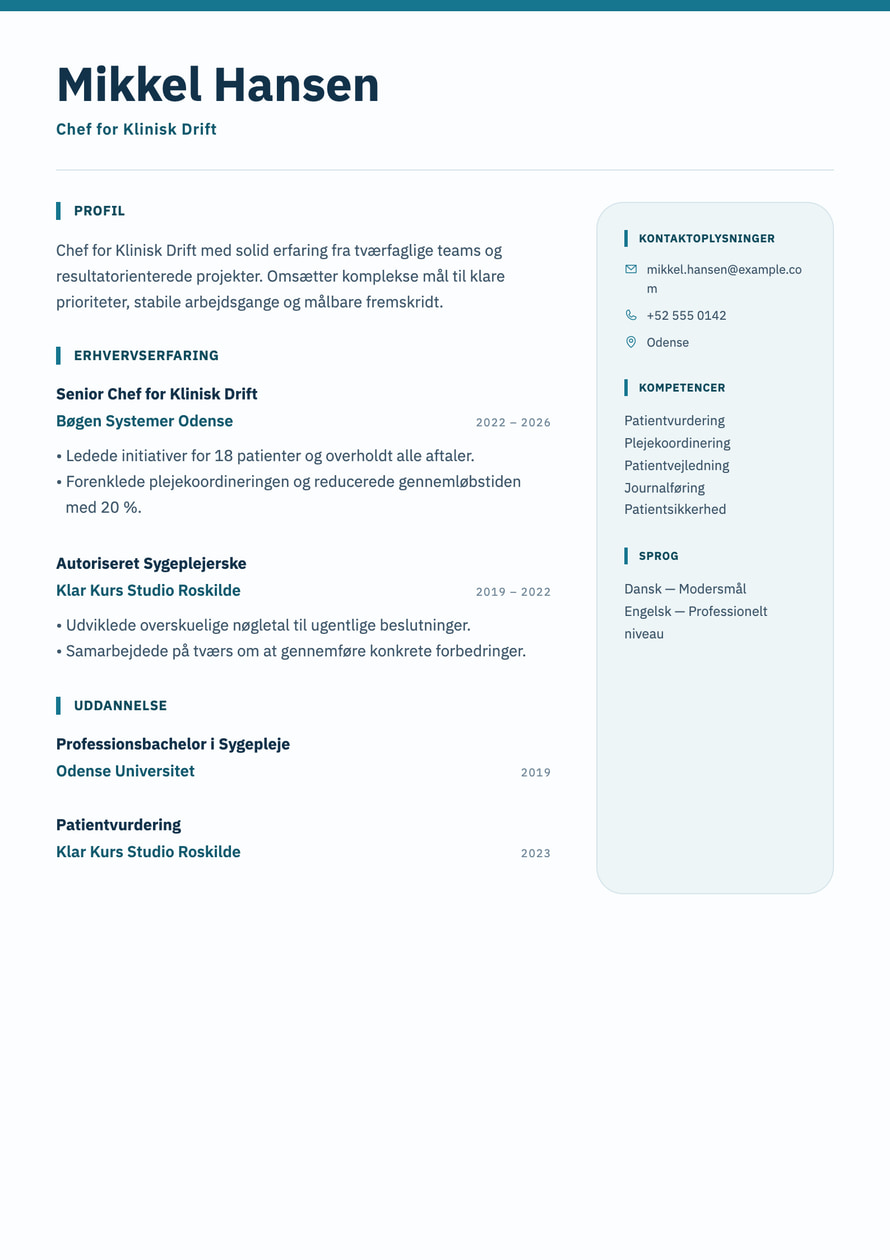 Clinical Precision resume preview