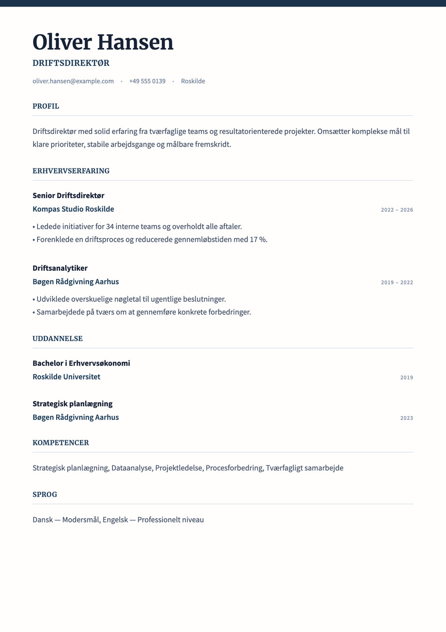 Executive Ledger resume preview