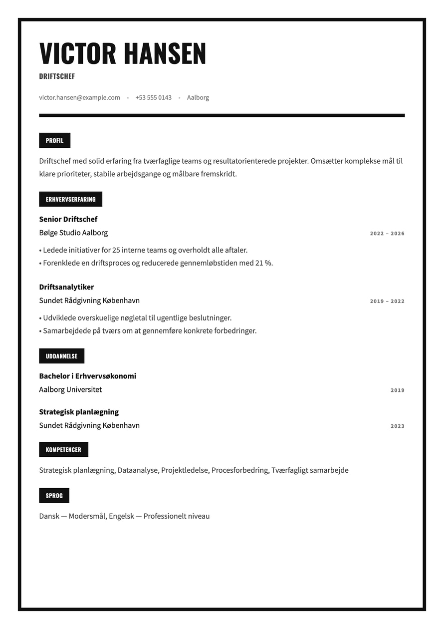 Monochrome Frame resume preview