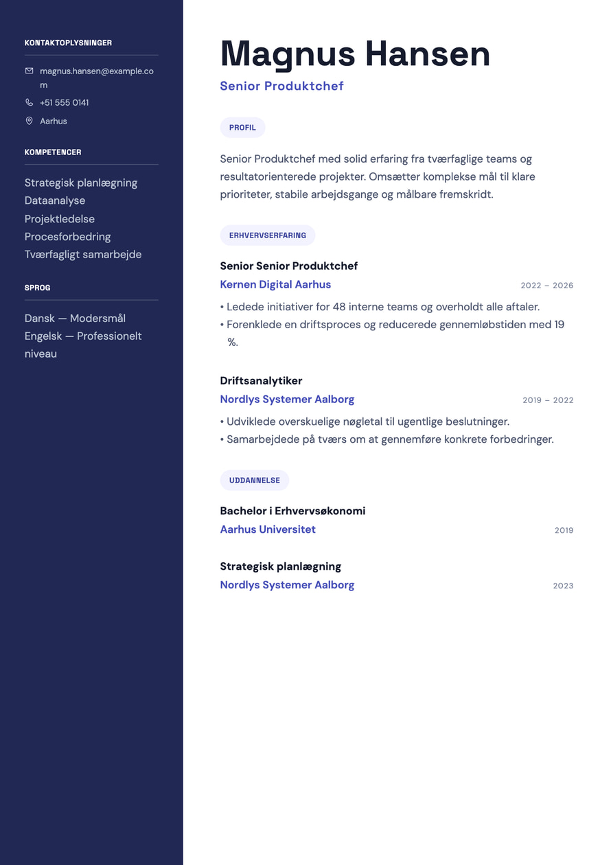 Product Strategy resume preview