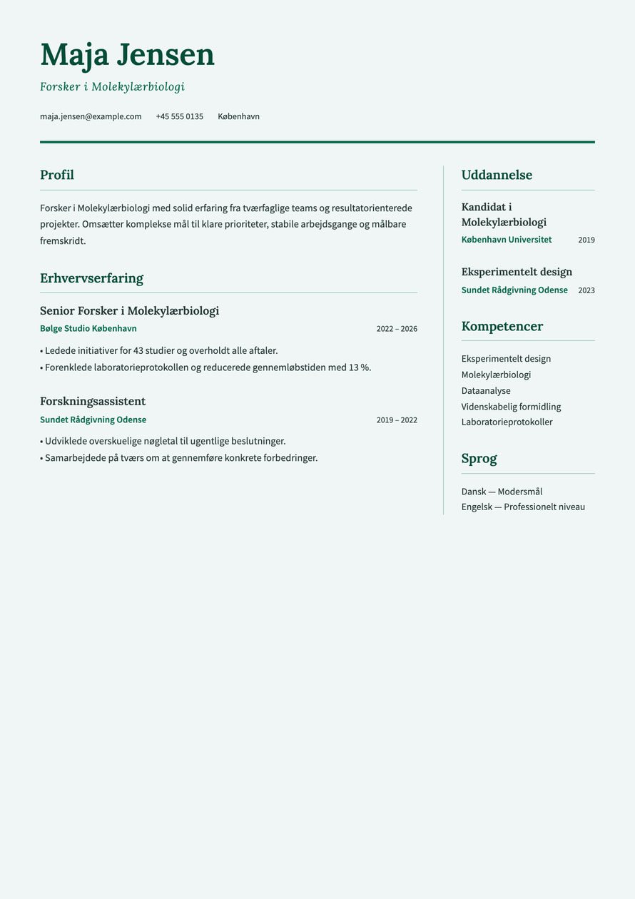 Research Academic resume preview