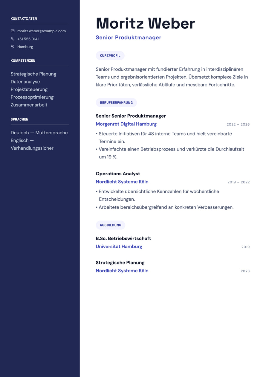 Product Strategy resume preview