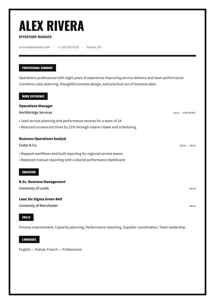 Monochrome Frame resume preview