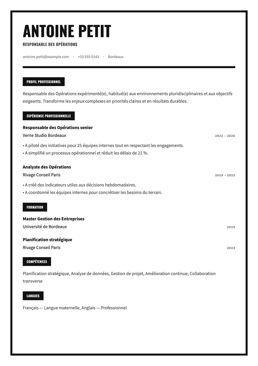 Monochrome Frame resume preview