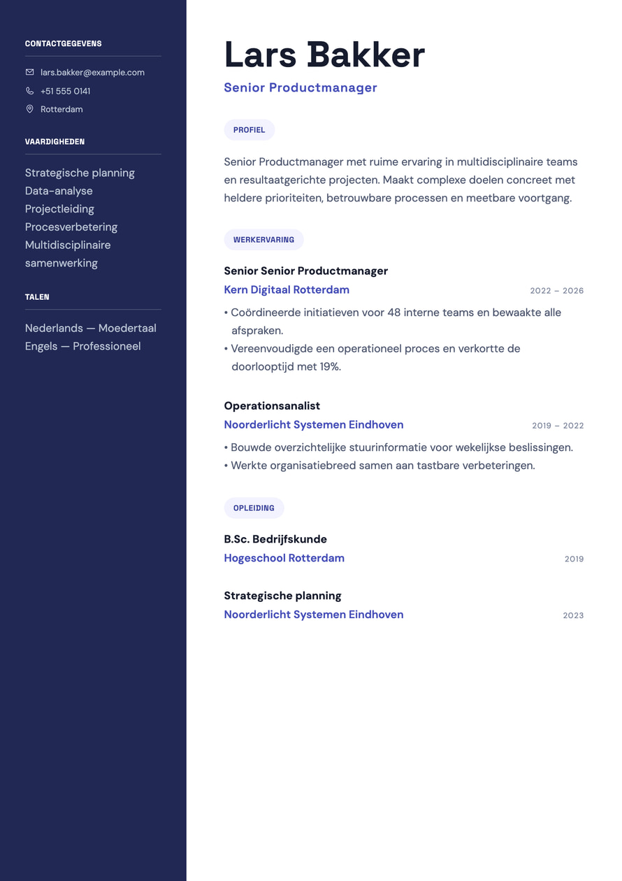 Product Strategy resume preview