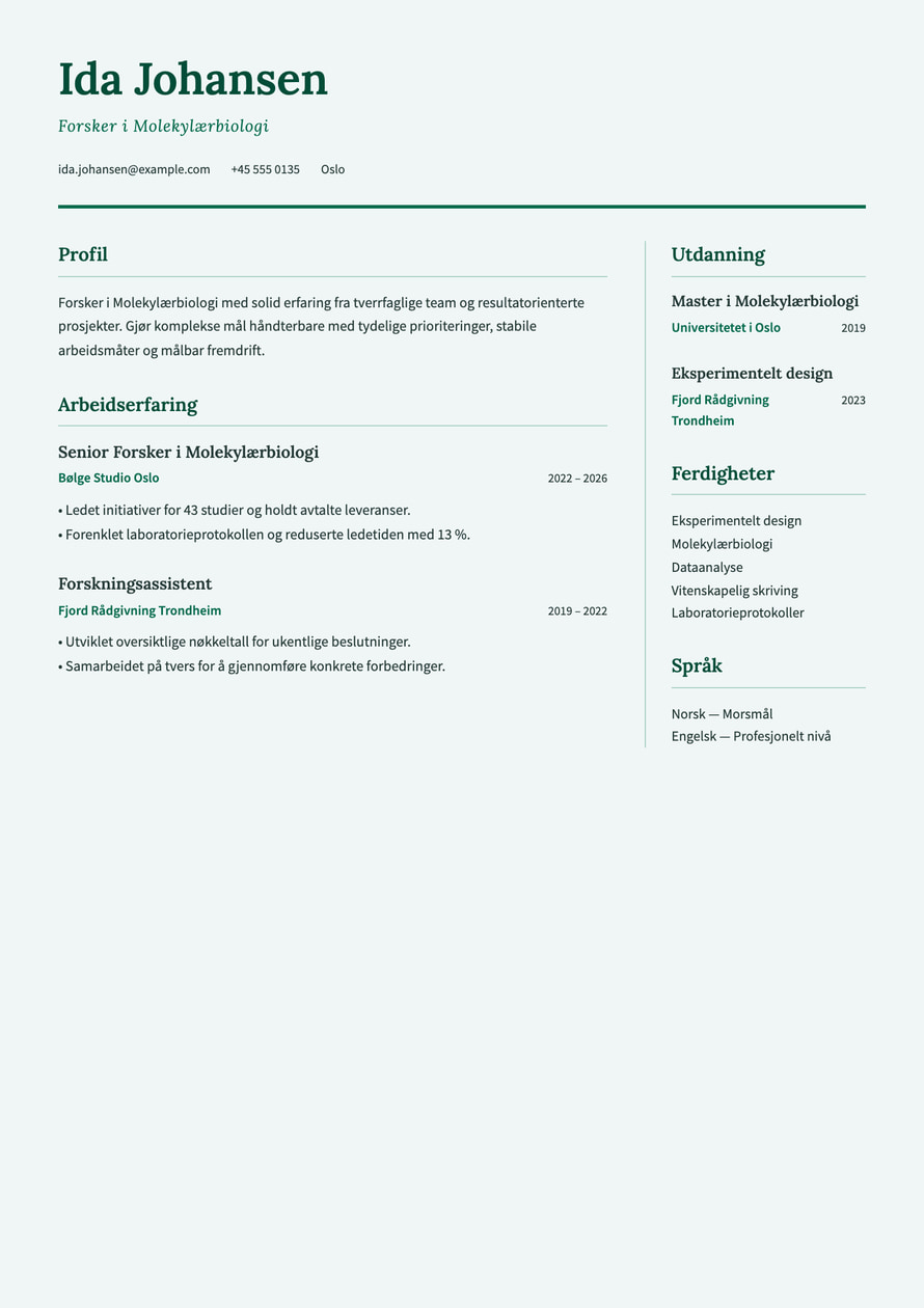 Research Academic resume preview