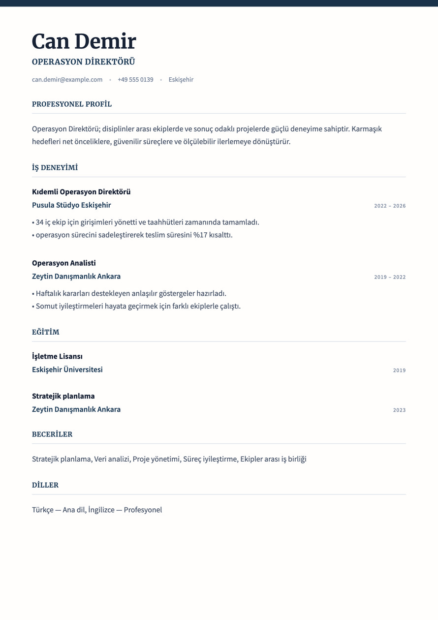 Executive Ledger resume preview