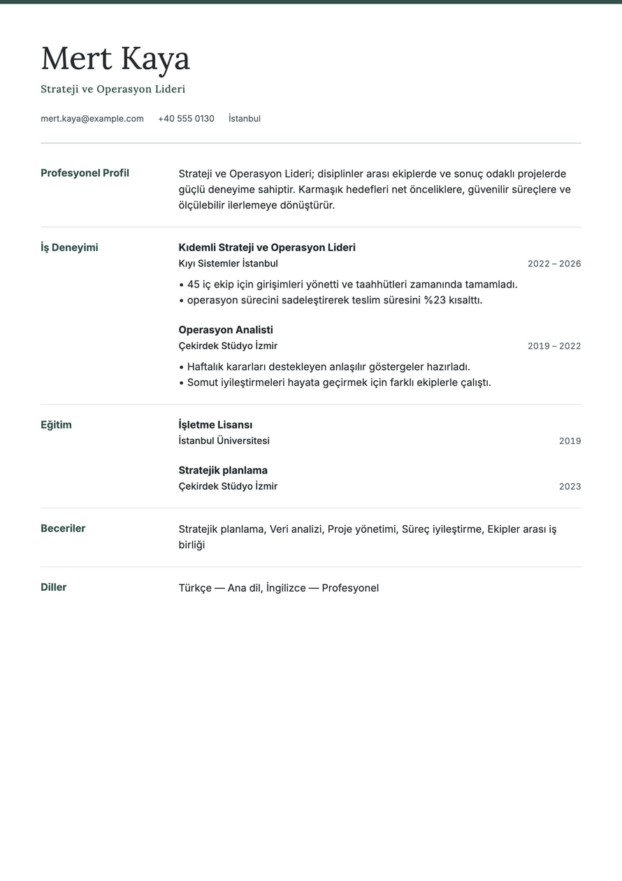 Meridian resume preview